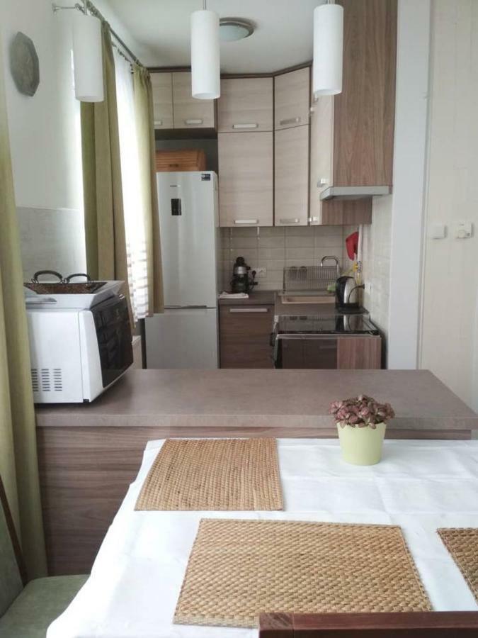 Zsuzsa Apartman 布达佩斯 外观 照片
